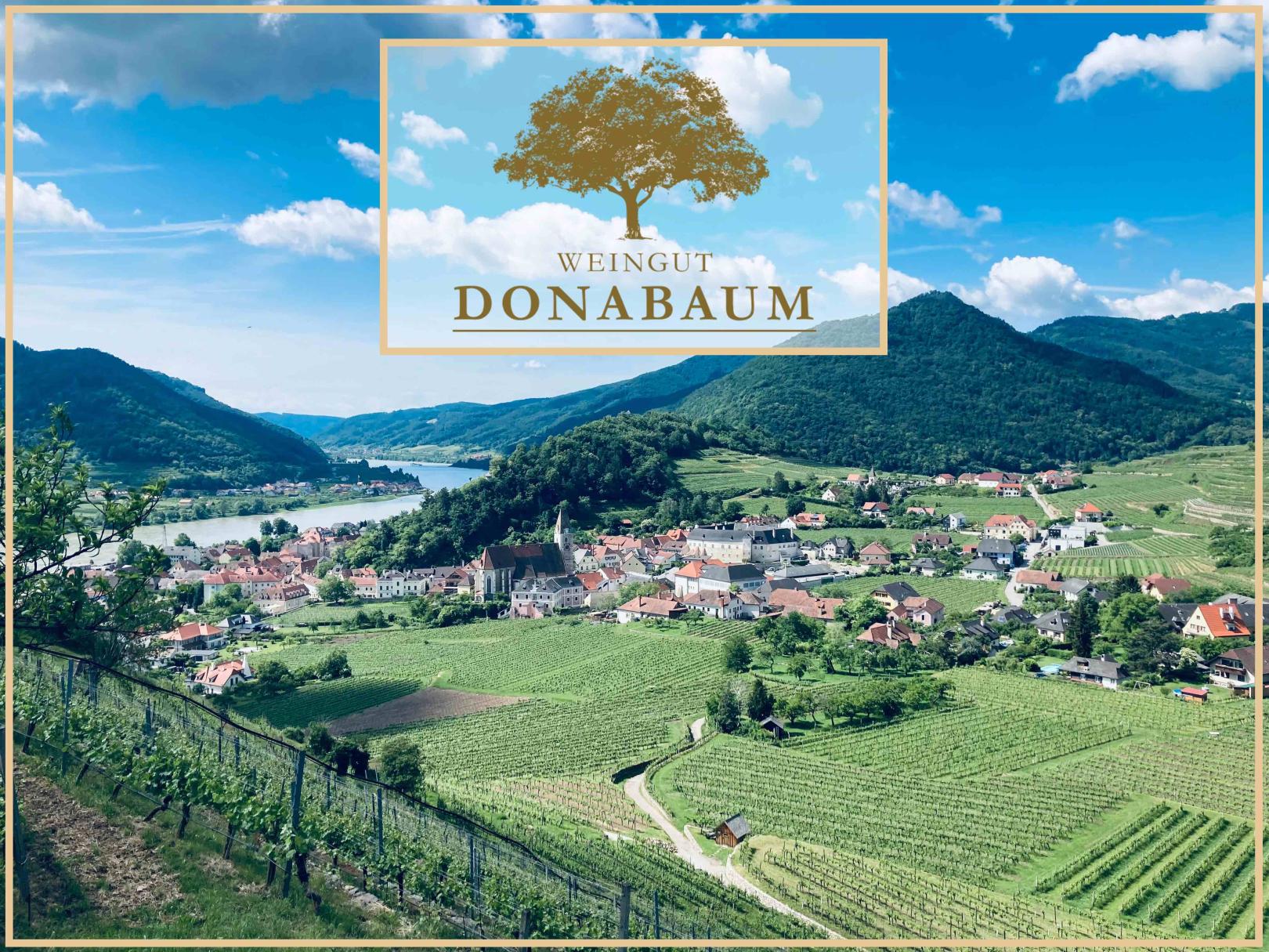WINZERPORTRÄT: WEINGUT CHRISTOPH DONABAUM