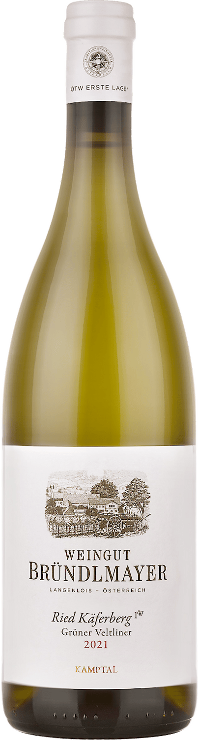 Ried Käferberg Grüner Veltliner