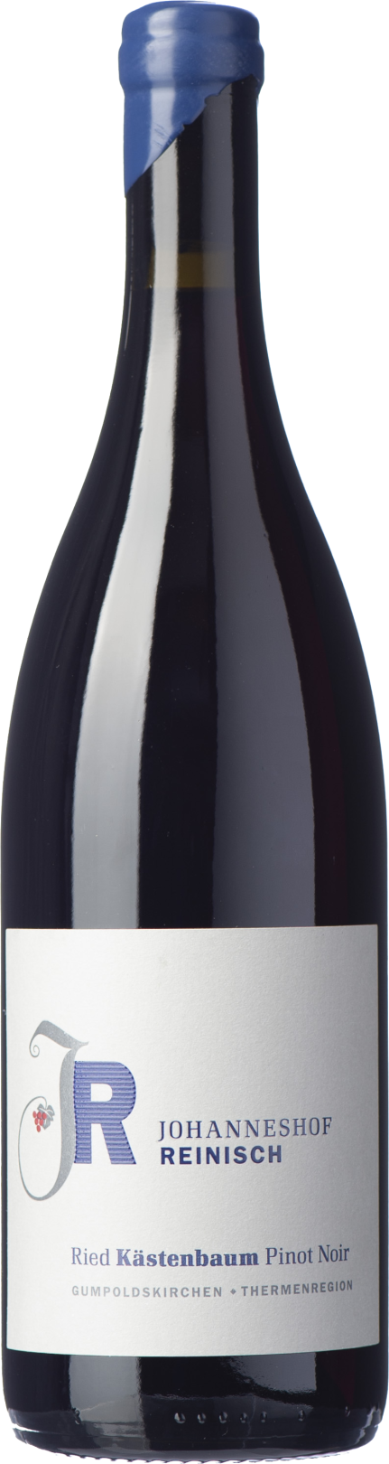 Ried Kästenbaum Pinot Noir